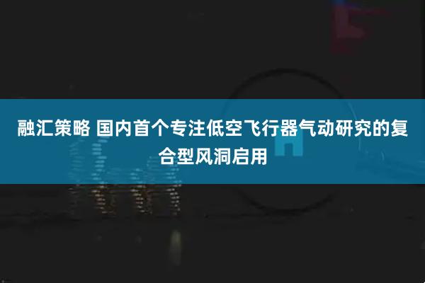 融汇策略 国内首个专注低空飞行器气动研究的复合型风洞启用