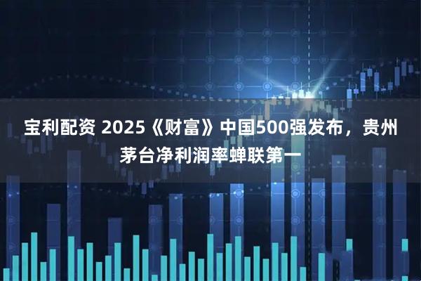 宝利配资 2025《财富》中国500强发布，贵州茅台净利润率蝉联第一