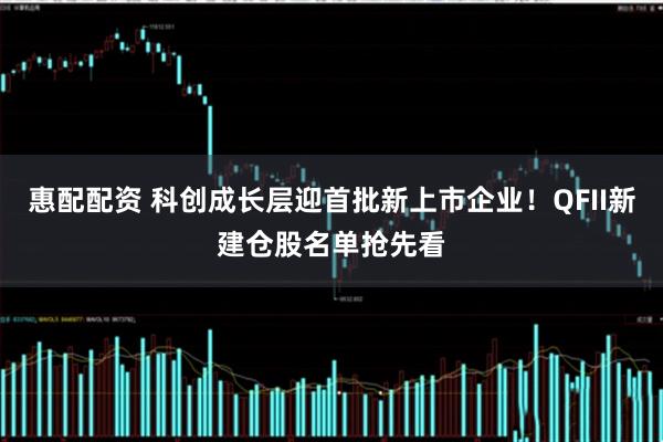 惠配配资 科创成长层迎首批新上市企业！QFII新建仓股名单抢先看
