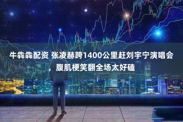 牛犇犇配资 张凌赫跨1400公里赶刘宇宁演唱会，腹肌梗笑翻全场太好磕