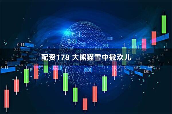 配资178 大熊猫雪中撒欢儿