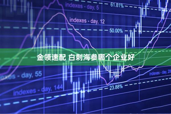 金领速配 白刺海参哪个企业好